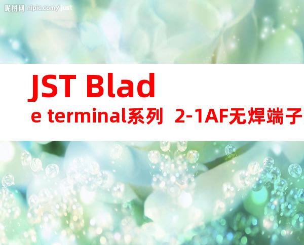 JST Blade terminal系列  2-1AF无焊端子产品规格书